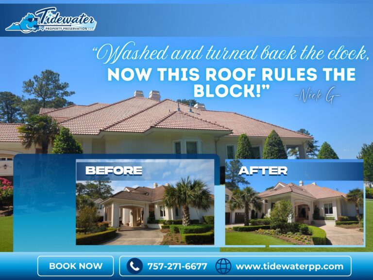 Tidewater Property Preservation 768x578