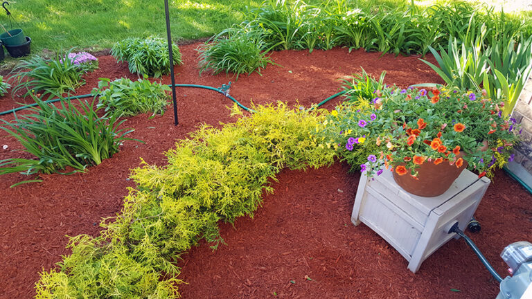 Daniels Landscaping Services Landscaping Gardening Baltimore MD10 768x432