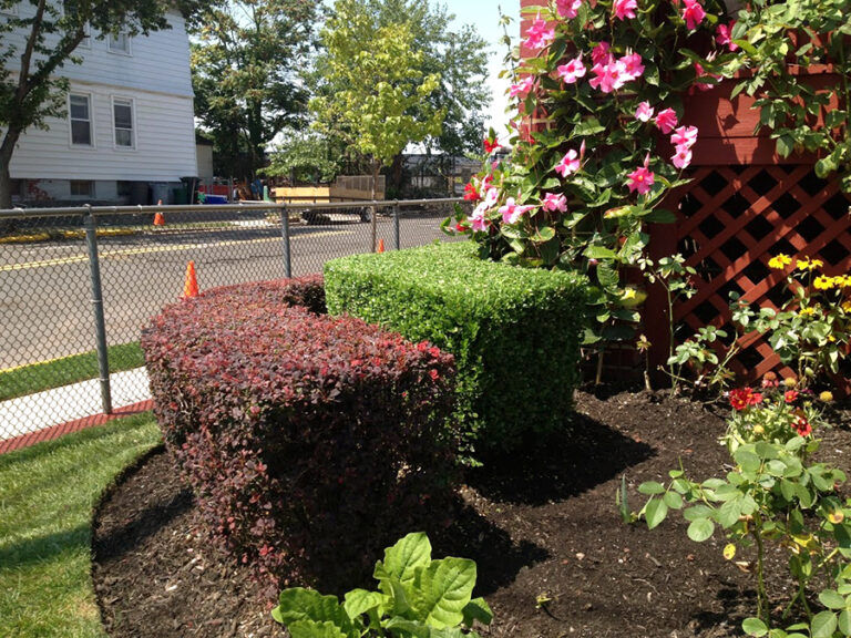 Daniels Landscaping Services Landscaping Gardening Baltimore MD2 768x576