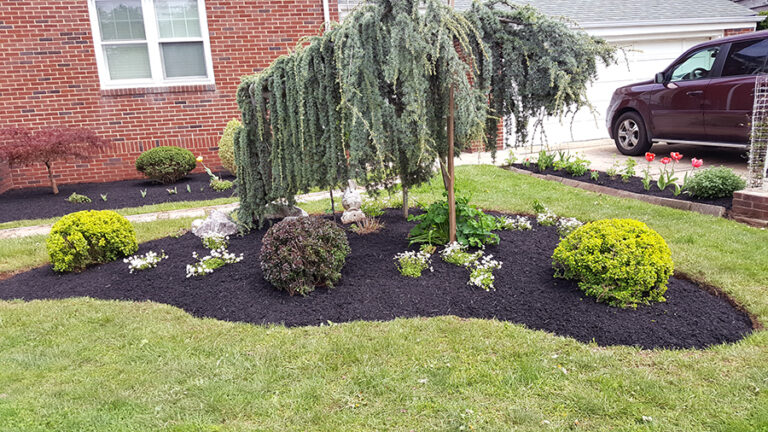 Daniels Landscaping Services Landscaping Gardening Baltimore MD4 768x432