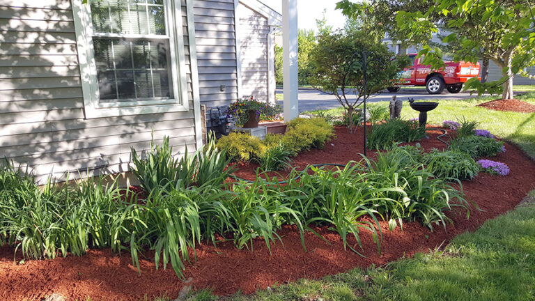 Daniels Landscaping Services Landscaping Gardening Baltimore MD8 768x432