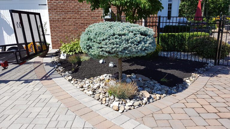 Daniels Landscaping Services Landscaping Gardening Baltimore MD9 768x432