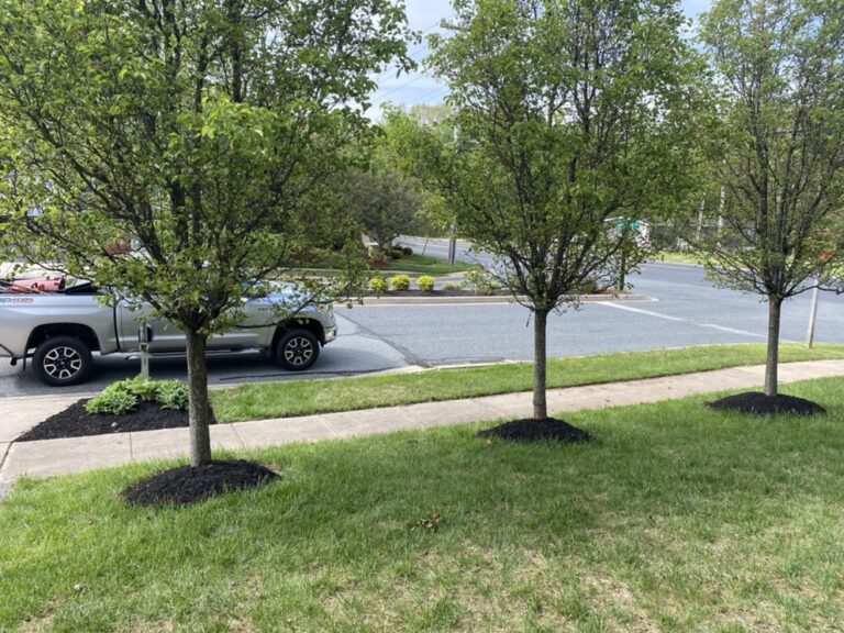 Griffin Grounds Landscaping Landscaping Forest Hill LA1 768x576