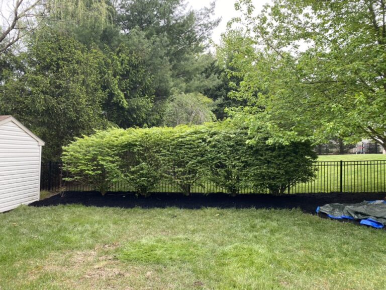 Griffin Grounds Landscaping Landscaping Forest Hill LA5 768x576