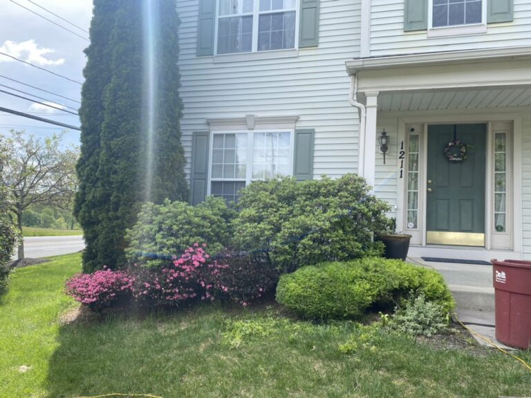 Griffin Grounds Landscaping Landscaping Forest Hill LA6 768x576