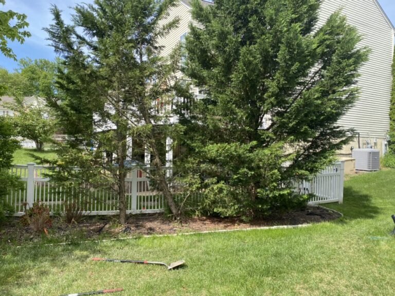 Griffin Grounds Landscaping Landscaping Forest Hill LA7 768x576